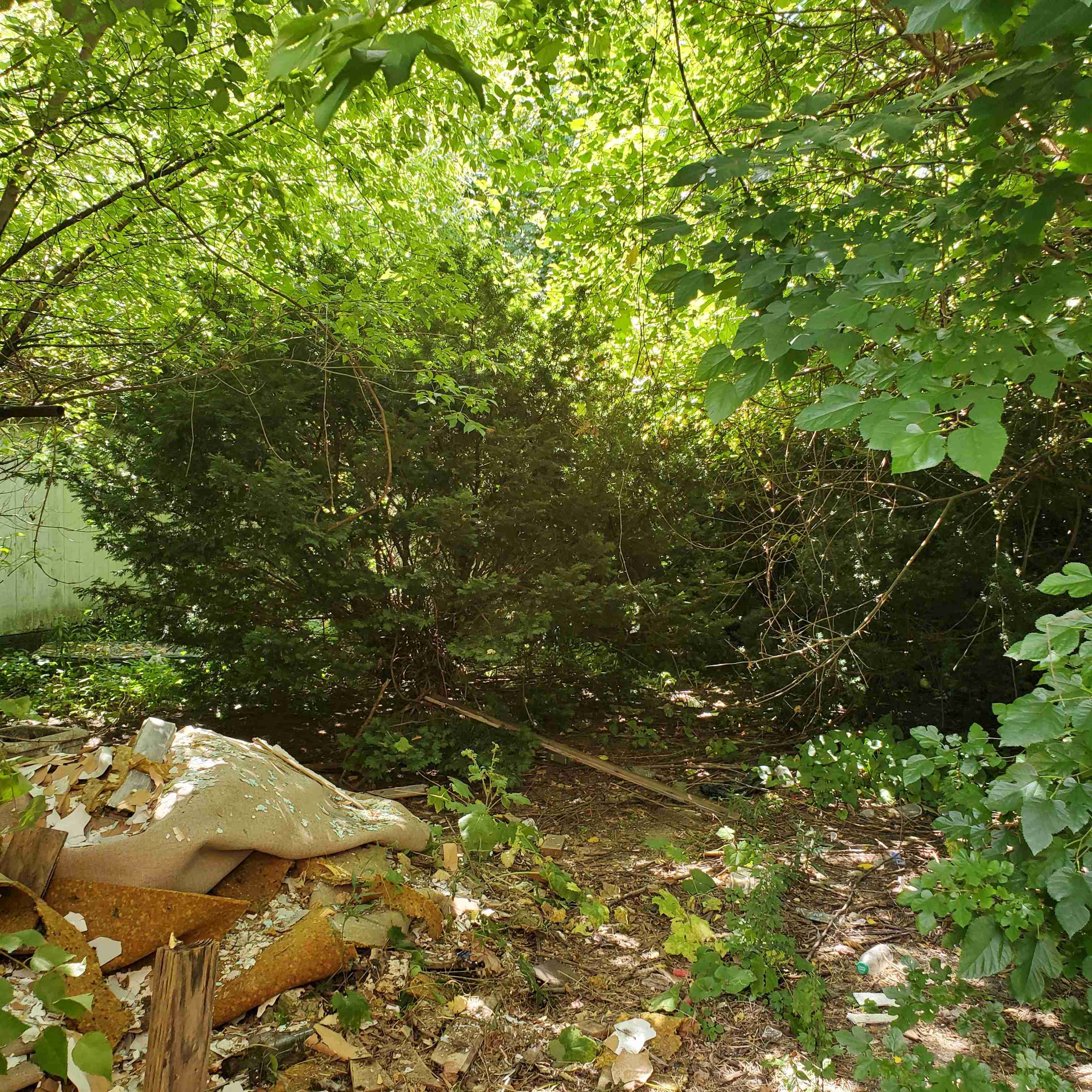 20200819_142644 (2).jpg